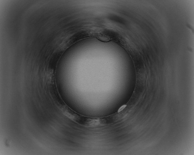 X0000093380083200710191142