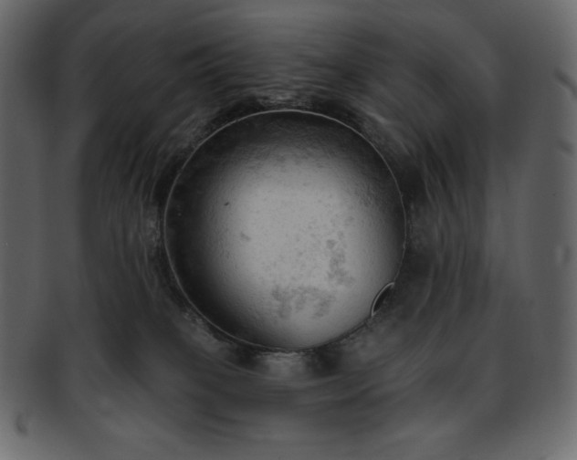 X0000093380085200710191142