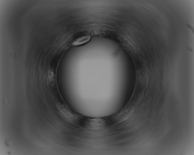 X0000093380087200710191142