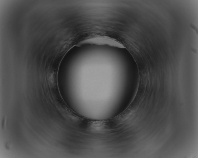 X0000093380088200710191142