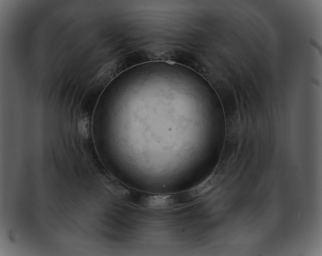 X0000093380090200710191143