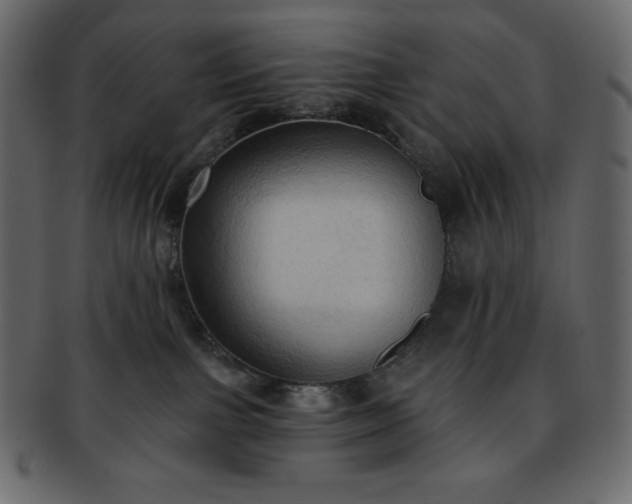 X0000093380091200710191143