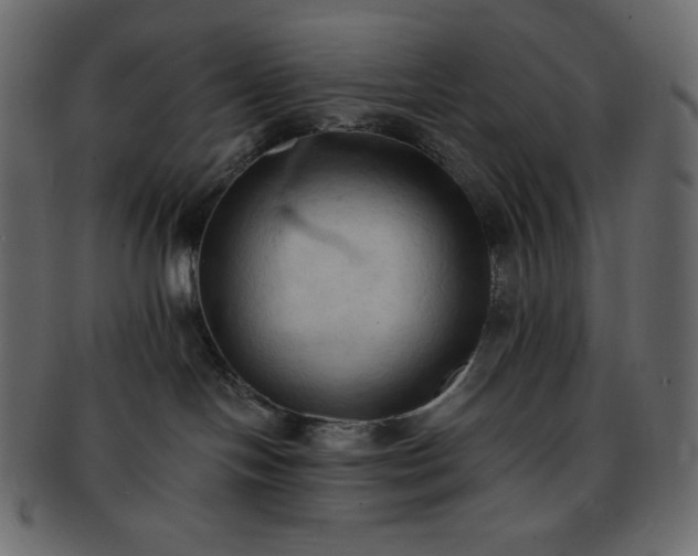 X0000093380094200710191143