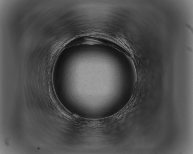 X0000093380097200710191142