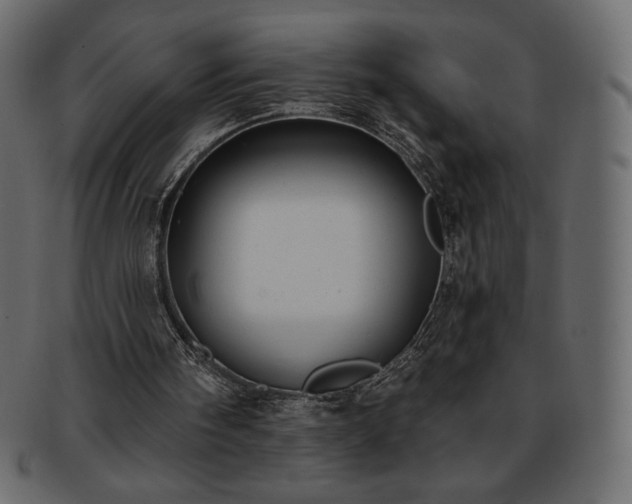 X0000093380098200710191142