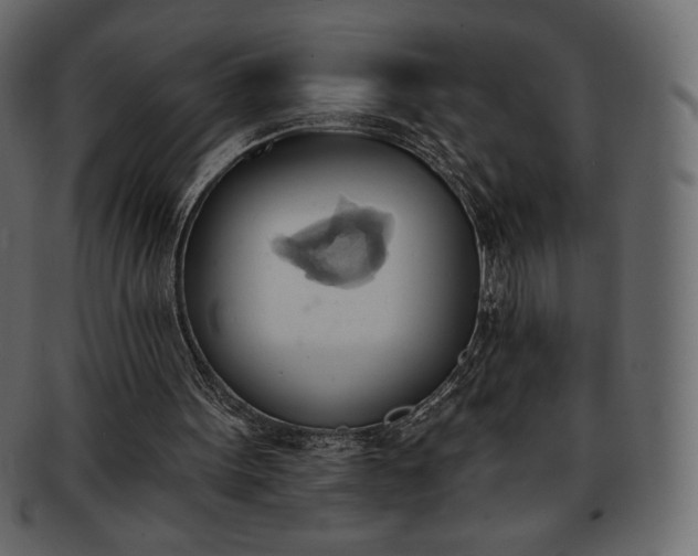 X0000093380099200710191142