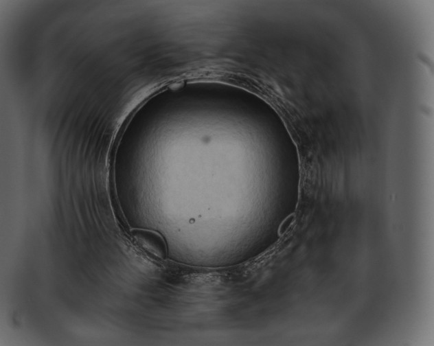 X0000093380100200710191142