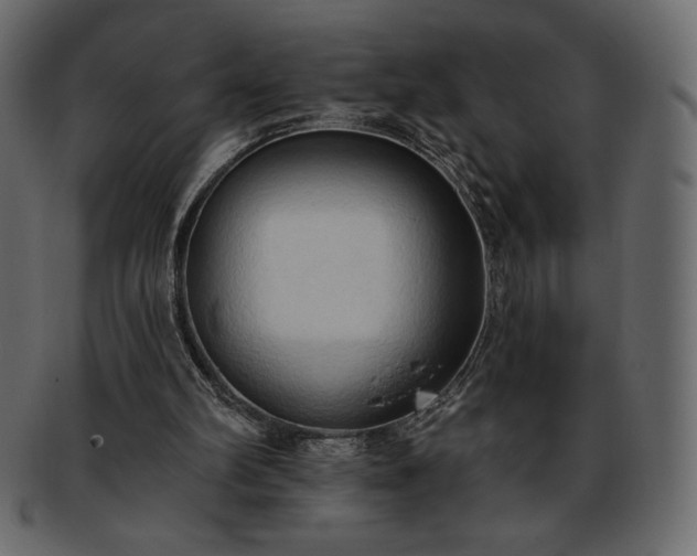 X0000093380102200710191142