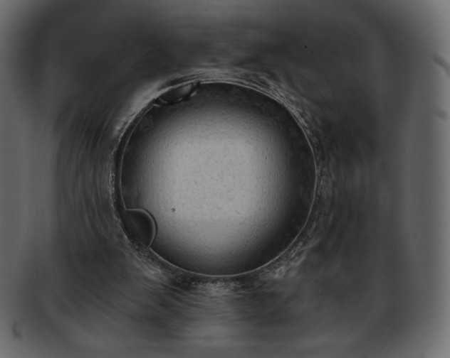 X0000093380103200710191142