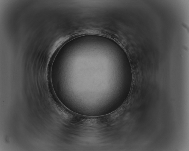 X0000093380104200710191142