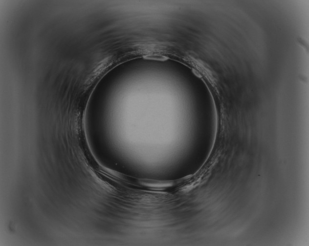 X0000093380105200710191142