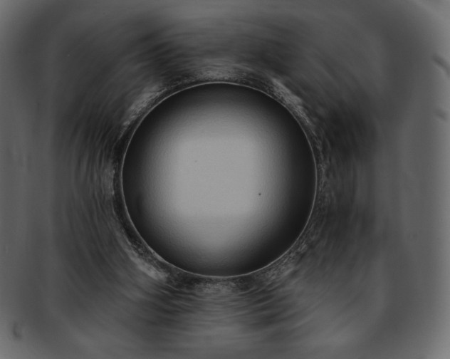 X0000093380106200710191142