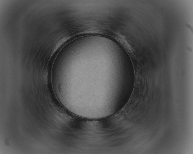 X0000093380108200710191142