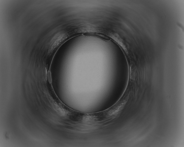 X0000093380109200710191142