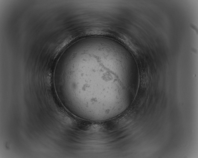 X0000093380111200710191142