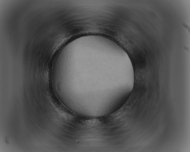 X0000093380112200710191142