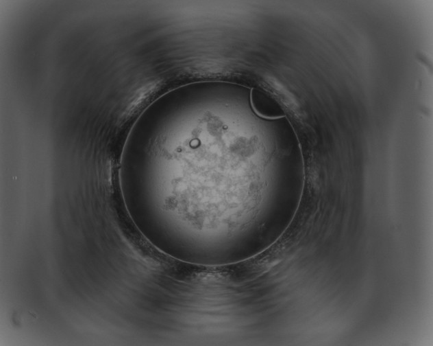 X0000093380115200710191142