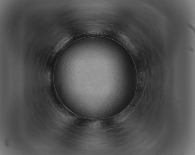 X0000093380116200710191142