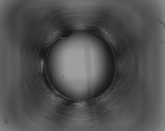 X0000093380118200710191142