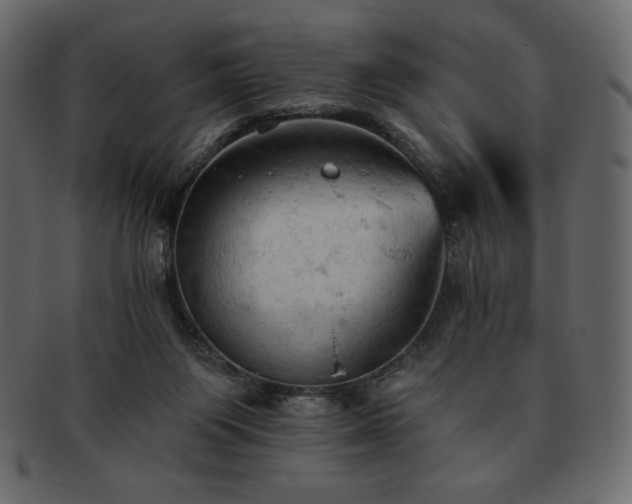 X0000093380119200710191142