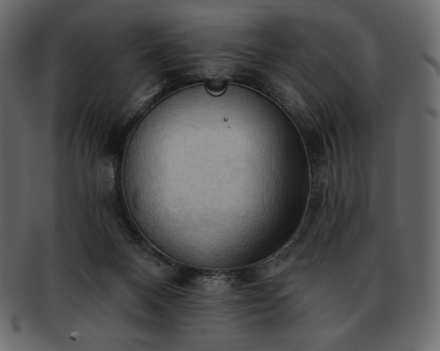 X0000093380120200710191142