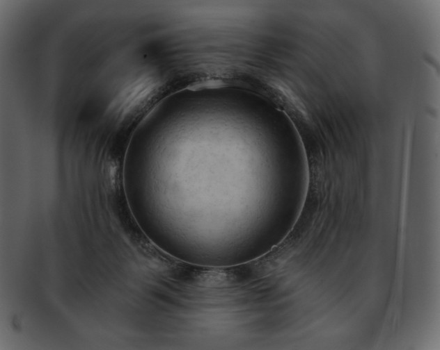 X0000093380123200710191142