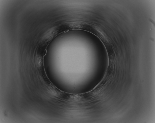 X0000093380125200710191142