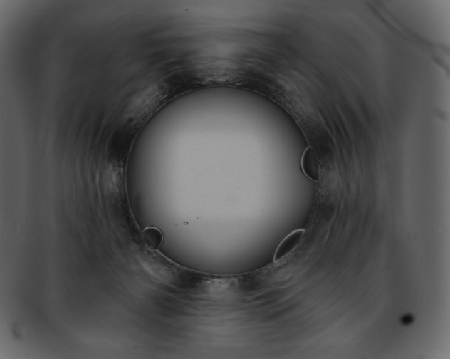 X0000093380126200710191142