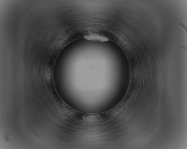 X0000093380129200710191142