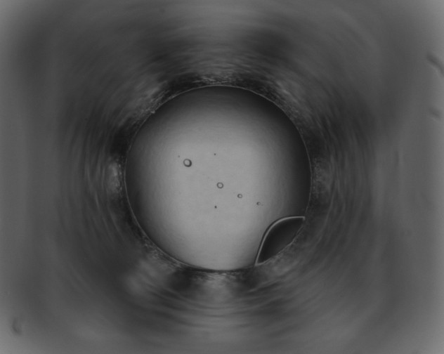 X0000093380130200710191142