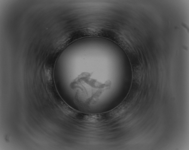 X0000093380131200710191142