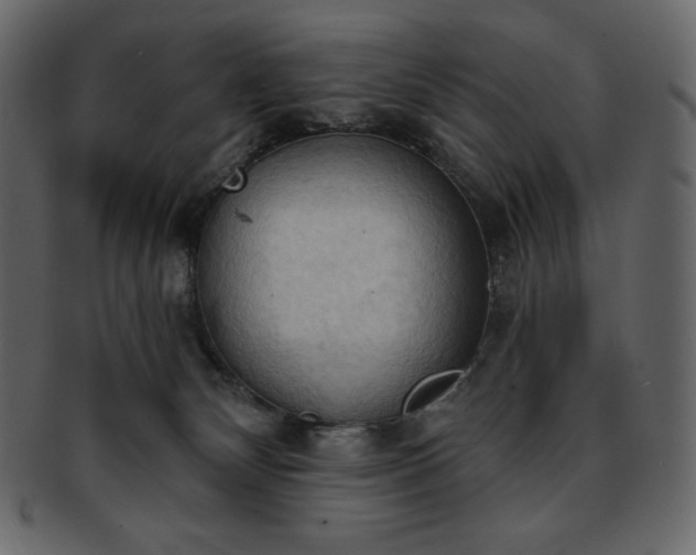 X0000093380132200710191142