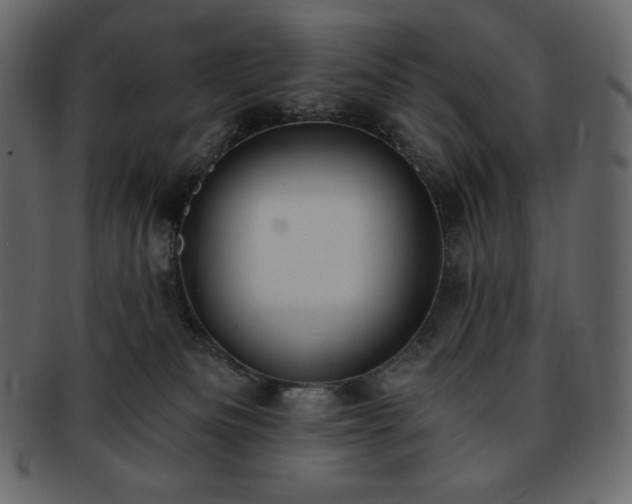 X0000093380133200710191142