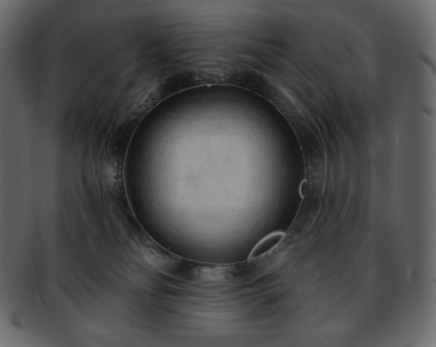 X0000093380134200710191142