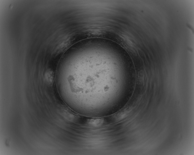 X0000093380135200710191142