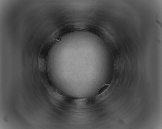 X0000093380136200710191142