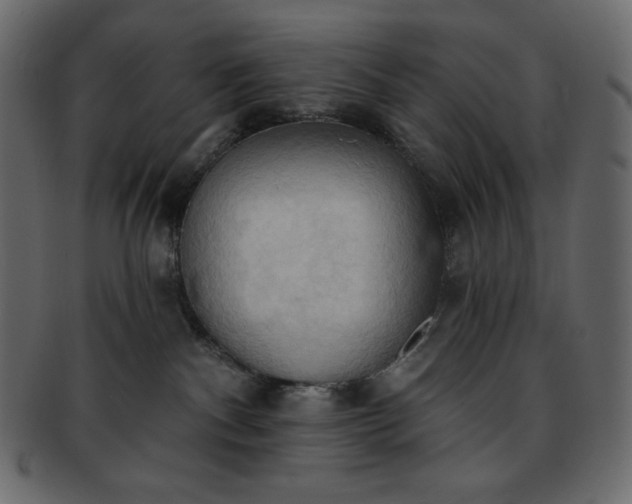 X0000093380140200710191142