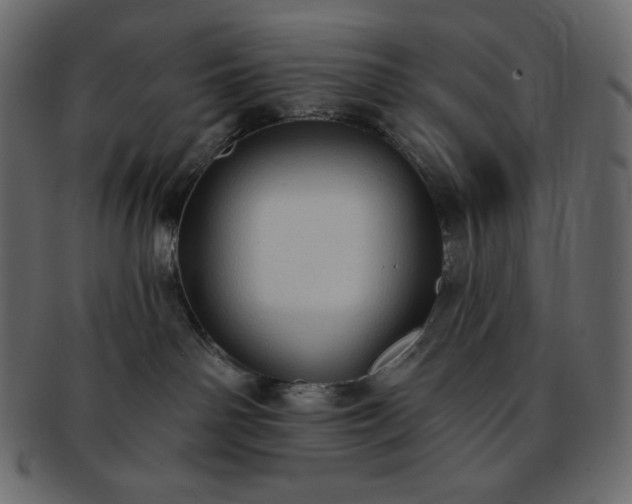 X0000093380142200710191141