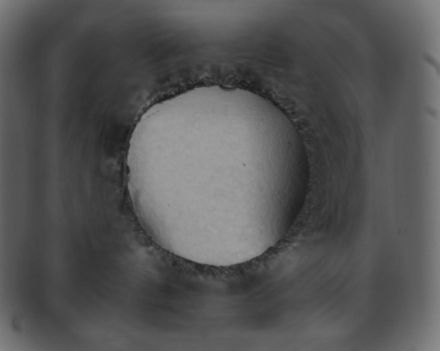 X0000093380144200710191141