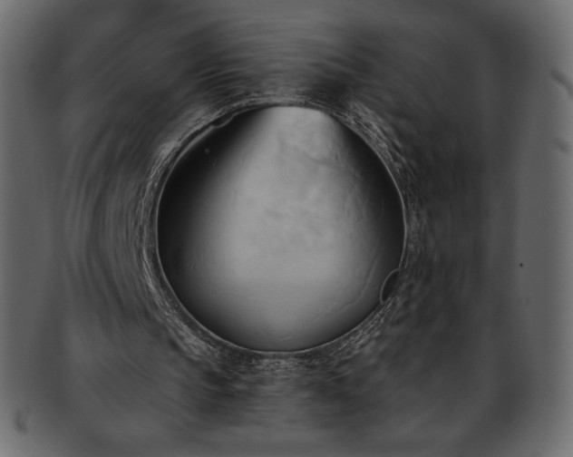 X0000093380145200710191141