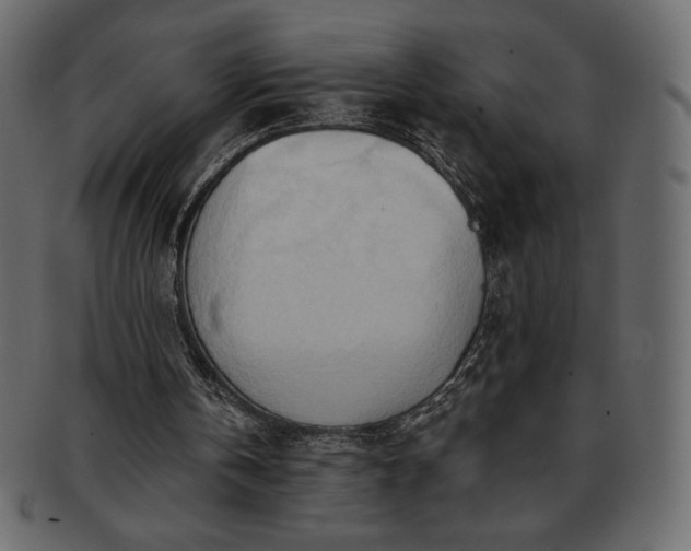 X0000093380146200710191141