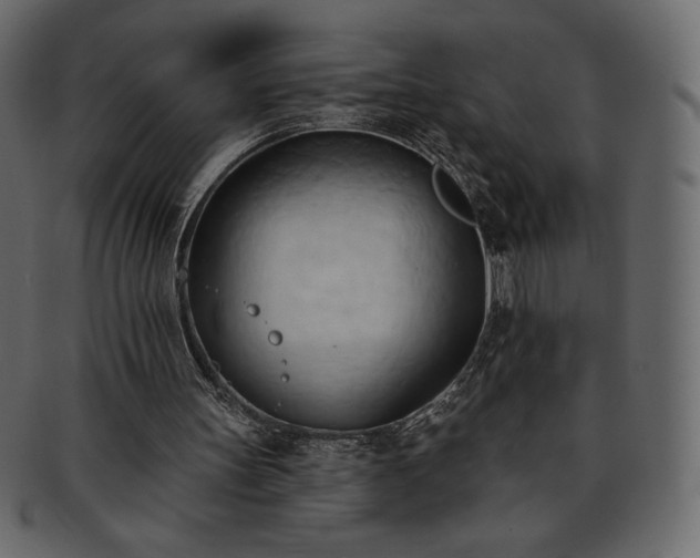 X0000093380147200710191141