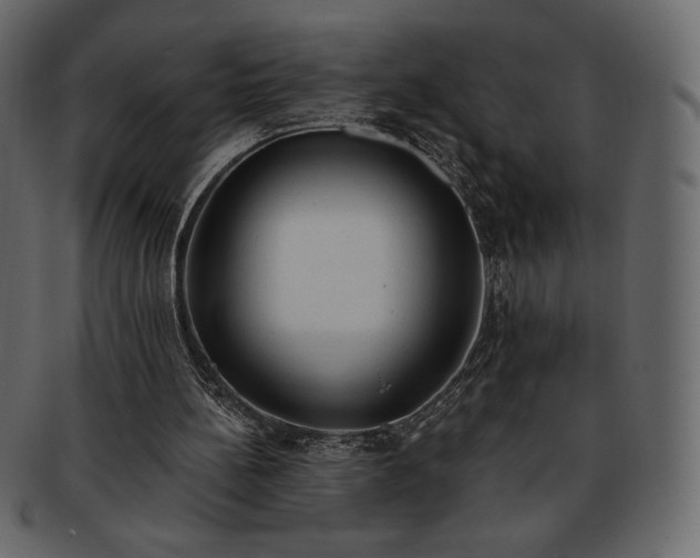 X0000093380148200710191141