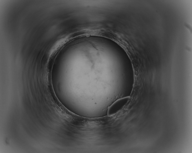 X0000093380149200710191141