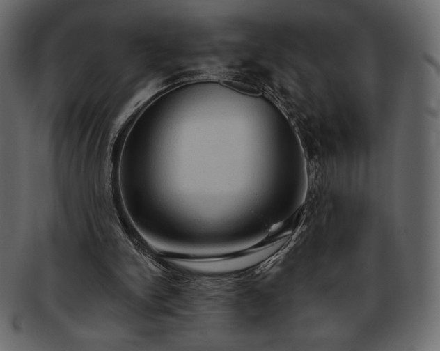 X0000093380150200710191141