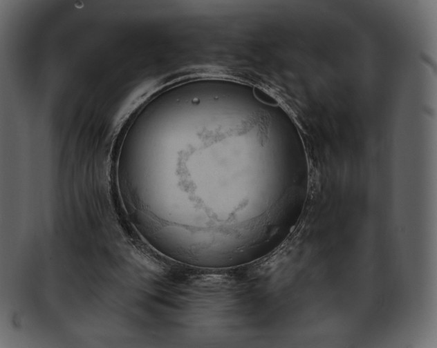 X0000093380151200710191141