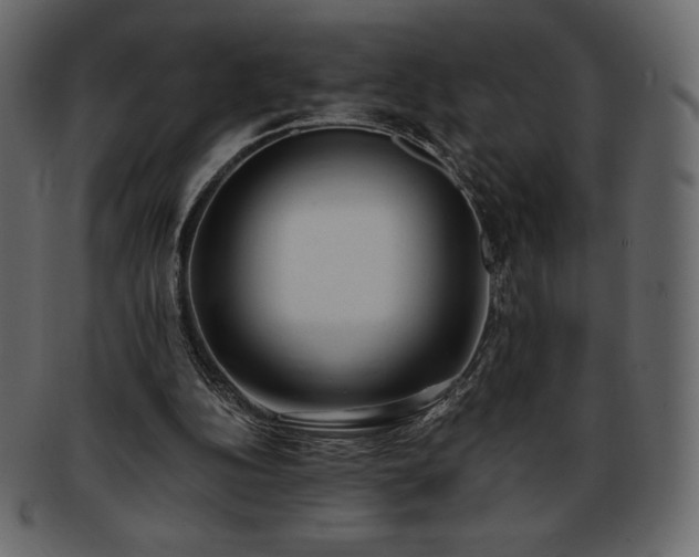 X0000093380152200710191141