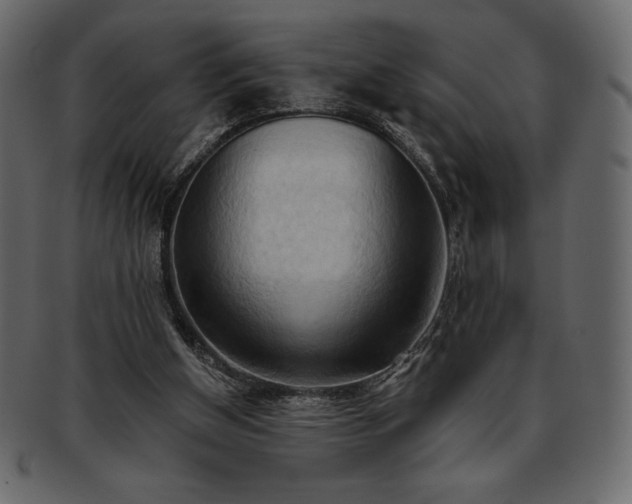 X0000093380154200710191141