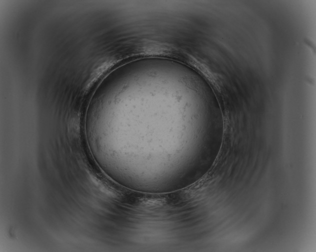 X0000093380155200710191141