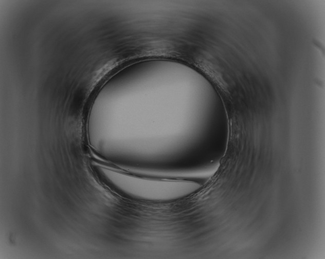 X0000093380156200710191141